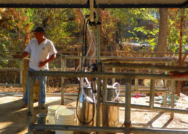 Machine à traire mobile complètement automatique avec le tuyau hygiénique de revêtement/lait